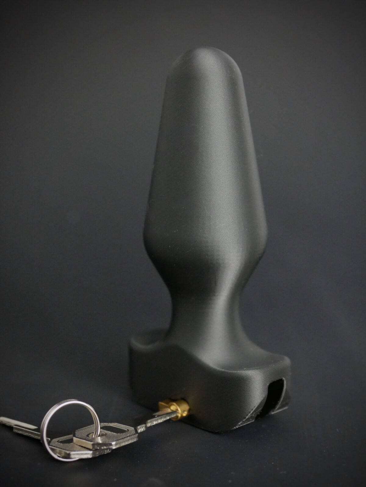 Butt Plug LOCKED