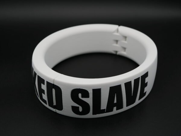 Collar STATEMENT - Integrated Lock – Bild 4