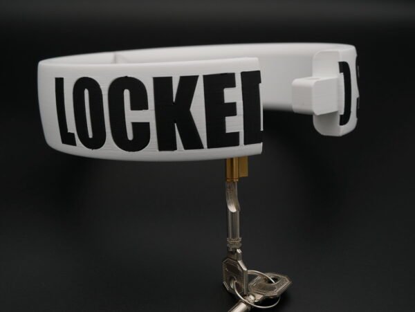 Collar STATEMENT - Integrated Lock – Bild 6