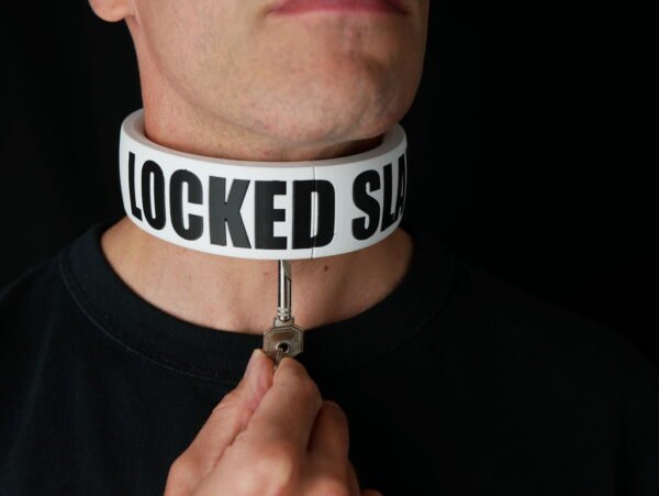 Collar STATEMENT - Integrated Lock