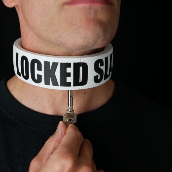 Collar STATEMENT - Integrated Lock