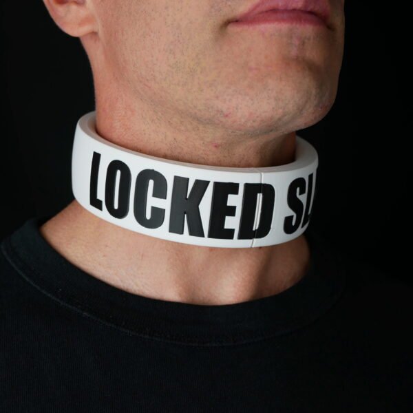 Collar STATEMENT - Hidden Lock