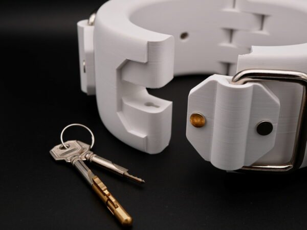 Collar SURRENDER - Hidden Lock - Image 6